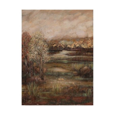 Trademark Fine Art Beverly Crawford 'Field Of Dreams I' Canvas Art, 24x32 WAG04033-C2432GG